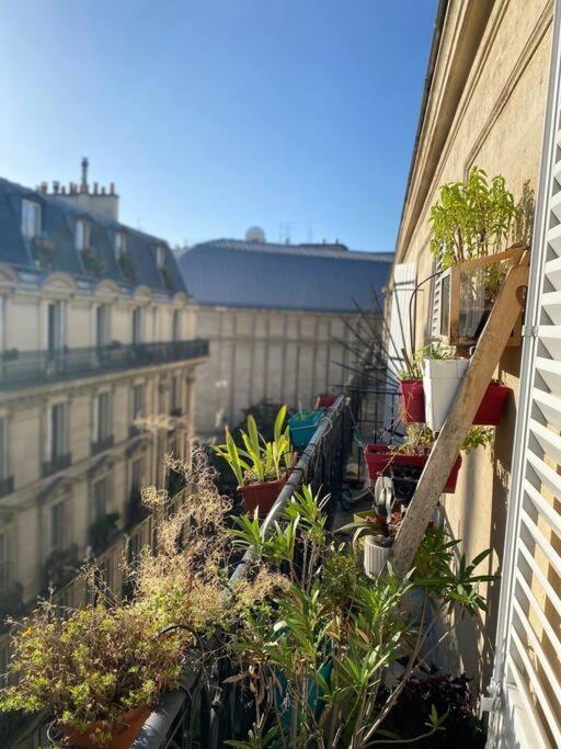 Tres Lumineux Parijs